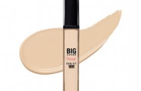 Etude House - Big Cover Skin Fit Concealer Pro - Beige neutre - 7g
