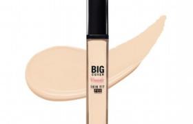 Etude House - Big Cover Skin Fit Concealer Pro - Neutral Vanilla - 7g
