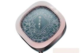 Florasis - Magnifique poudre de fleur de pêcher - 8.5g - #03...
