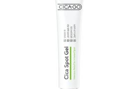 ISOI - CICAGO Gel anti-taches Cica - 25g