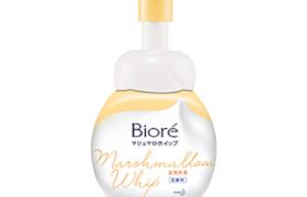 Kao - Biore Facial Wash Foaming Riches - 160ml Kao - Biore Facial Wash Foaming Riches - 160ml
