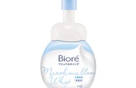 Kao - Biore Nettoyant pour le visage moussant mild - 160ml Kao - Biore Nettoyant pour le visage moussant mild - 160ml
