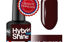 Mini Vernis Semi-Permanent Hybrid Shine Mollon Pro 8ml 266 - Zweigelt Mini Vernis Semi-Permanent Hybrid Shine Mollon Pro 8ml 266 - Zweigelt