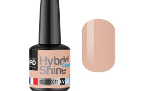 Mini Vernis Semi-Permanent Hybrid Shine Mollon Pro 8ml Achillea 2/40 Mini Vernis Semi-Permanent Hybrid Shine Mollon Pro 8ml Achillea 2/40