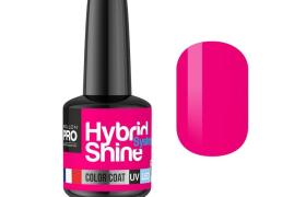Mini Vernis Semi-Permanent Hybrid Shine Mollon Pro 8ml Dragon Fruit 2/139 Mini Vernis Semi-Permanent Hybrid Shine Mollon Pro 8ml Dragon Fruit 2/139