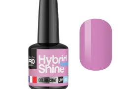 Mini Vernis Semi-Permanent Hybrid Shine Mollon Pro 8ml Viviane 2/135 Mini Vernis Semi-Permanent Hybrid Shine Mollon Pro 8ml Viviane 2/135