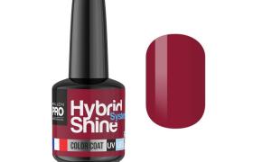 Mini Vernis Semi-Permanent Hybrid Shine Mollon Pro 8ml Wine 2/06 Mini Vernis Semi-Permanent Hybrid Shine Mollon Pro 8ml Wine 2/06