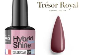 Mini vernis semi-permanent Hybrid Shine n°355 Rose Wine Tresor Royal Mollon Pro 8ML Mini vernis semi-permanent Hybrid Shine n°355 Rose Wine Tresor Royal Mollon Pro 8ML