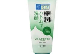 Rohto Mentholatum - Hada Labo - Gokujyun Hatomugi Mousse Visage - 1g