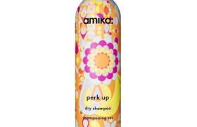 Shampooing sec Perk Up amika
