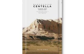 SKIN1004 - Masque Ampoule Feuille de Madagascar Centella Watergel... SKIN1004 - Masque Ampoule Feuille de Madagascar Centella Watergel...