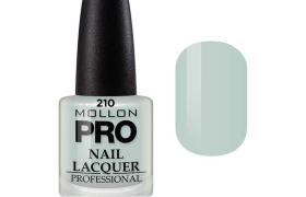 Vernis Classique 15 ml Mollon Pro Sweet Gray - 210 Vernis Classique 15 ml Mollon Pro Sweet Gray - 210