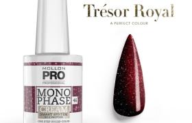 Vernis Monophase n°46 Bordeaux Red uv/led Mollon Pro 10ML Vernis Monophase n°46 Bordeaux Red uv/led Mollon Pro 10ML