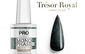 Vernis Monophase n°47 Versailles Green uv/led Mollon Pro 10ML Vernis Monophase n°47 Versailles Green uv/led Mollon Pro 10ML