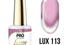 Vernis semi-permanent Luxury n°113 Magic Day Magnetic 9D Light Mollon Pro 8ML Vernis semi-permanent Luxury n°113 Magic Day Magnetic 9D Light Mollon Pro 8ML