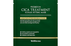 WELLDERMA - Cica Treatment Repair Masque d'ajustement - 1pièce