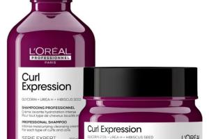Duo shampooing & masque cheveux bouclés Curl Expression L'Oréal Professionnel Duo shampooing & masque cheveux bouclés Curl Expression L'Oréal Professionnel