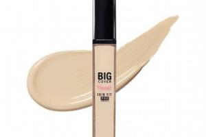 Etude House - Big Cover Skin Fit Concealer Pro - Sand - 7g