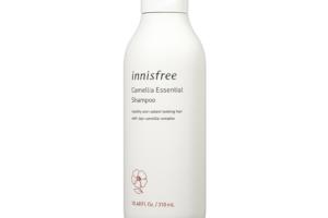innisfree - Camellia Essential Shampooing - 310ml innisfree - Camellia Essential Shampooing - 310ml