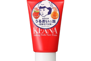 Ishizawa-Lab - Nadeshiko - Keana Mousse pour le visage au... Ishizawa-Lab - Nadeshiko - Keana Mousse pour le visage au...