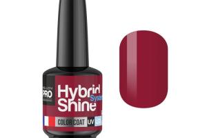 Mini Vernis Semi-Permanent Hybrid Shine Mollon Pro 8ml Wine 2/06