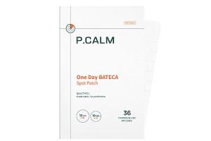 P.CALM - Patch ponctuel BATECA d'un jour - 36ea
