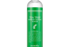 Secret Key - Tea Tree Tonique apaisant Refresh - 248 ml Secret Key - Tea Tree Tonique apaisant Refresh - 248 ml