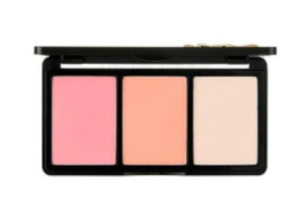 The Face Shop - fmgt Mono Pop Cheek Palette - No. Signature