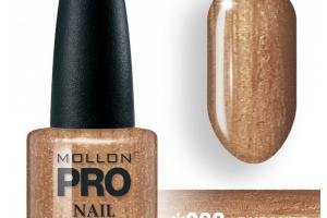 Vernis Classique 15 ml Mollon Pro - n°299 Vernis Classique 15 ml Mollon Pro - n°299