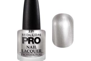 Vernis Classique 15 ml Mollon Pro Silver Shimmer - 221