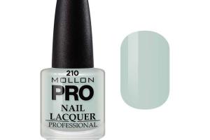 Vernis Classique 15 ml Mollon Pro Sweet Gray - 210 Vernis Classique 15 ml Mollon Pro Sweet Gray - 210