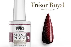 Vernis Monophase n°46 Bordeaux Red uv/led Mollon Pro 10ML