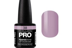 Vernis Semi-Permanent Hybrid Shine Mollon Pro 15ml Aster - 38 Vernis Semi-Permanent Hybrid Shine Mollon Pro 15ml Aster - 38