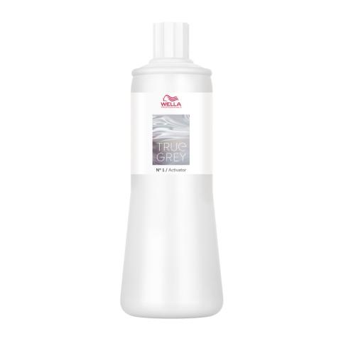 Activateur n°1 True Grey Wella 500ML