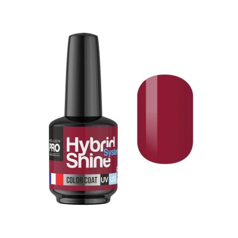 Mini Vernis Semi-Permanent Hybrid Shine Mollon Pro 8ml Wine 2/06 Mini Vernis Semi-Permanent Hybrid Shine Mollon Pro 8ml Wine 2/06