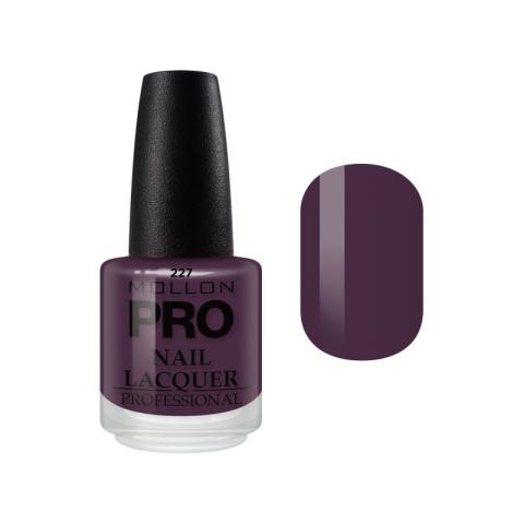 Vernis Classique 15 ml Mollon Pro Berry - 227 Vernis Classique 15 ml Mollon Pro Berry - 227
