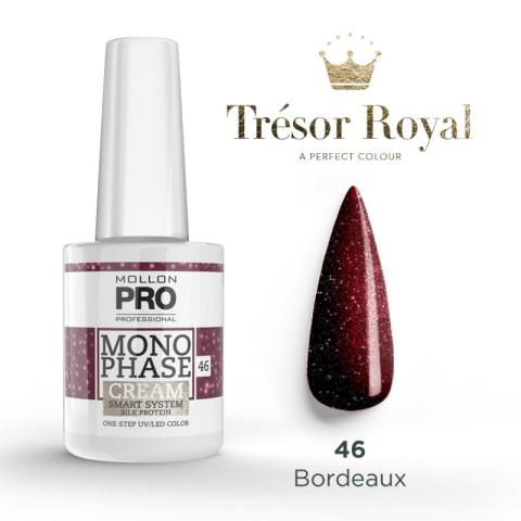 Vernis Monophase n°46 Bordeaux Red uv/led Mollon Pro 10ML