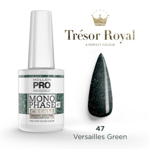 Vernis Monophase n°47 Versailles Green uv/led Mollon Pro 10ML Vernis Monophase n°47 Versailles Green uv/led Mollon Pro 10ML